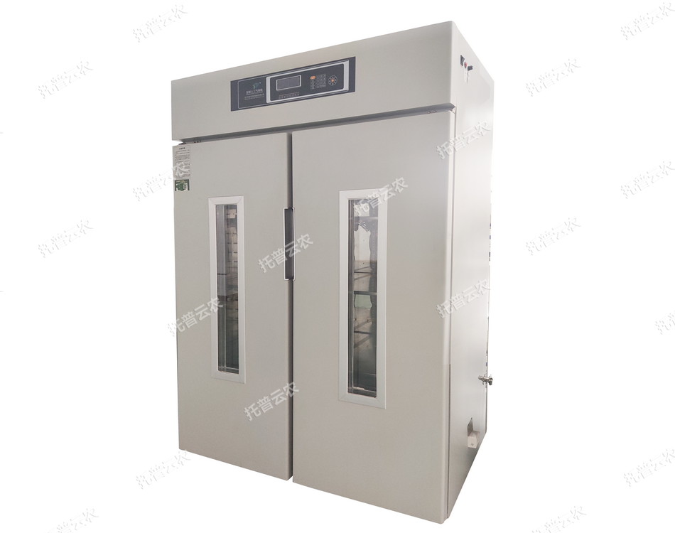 植物光照培養(yǎng)箱